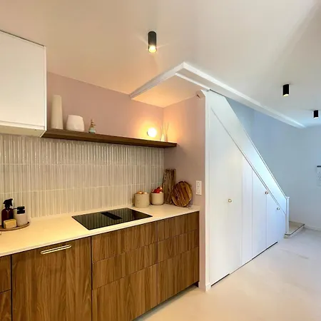 Architect's Duplex With Garden بياريتز