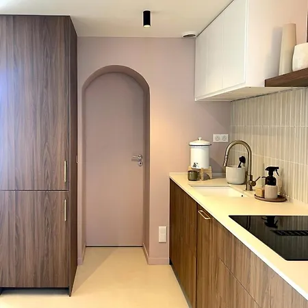 Architect's Duplex With Garden شقة